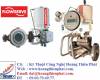 Đại lý cung cấp bơm thủy lực Flowserve tại Việt Nam - anh 4